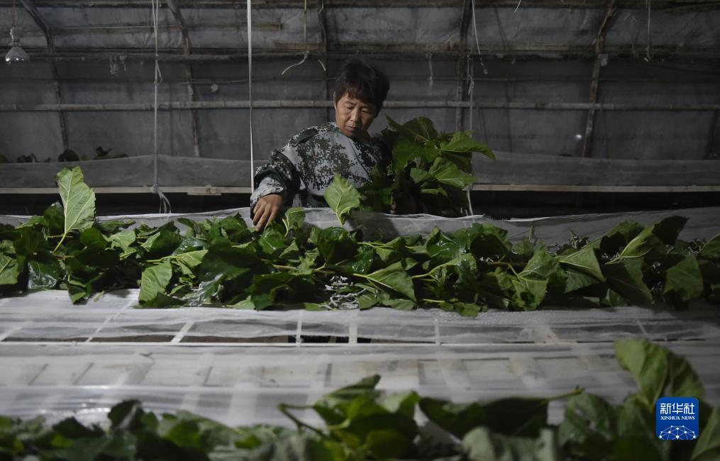 摆脱游戏手机网站